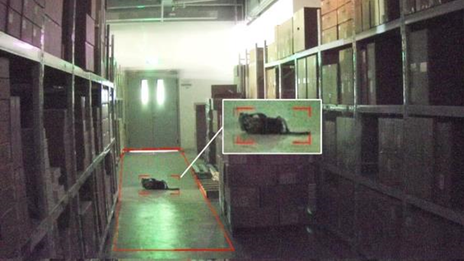 pg电子官网_游戏首页入口