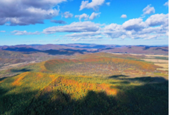 pg电子官网_游戏首页入口