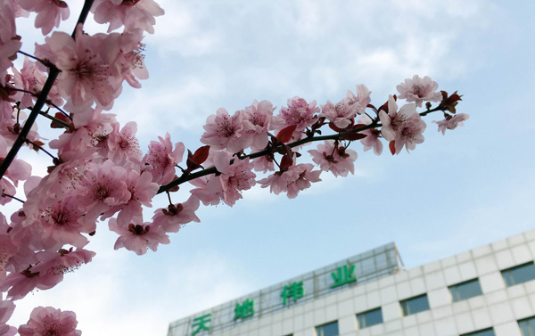 pg电子官网_游戏首页入口