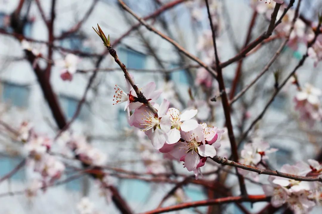 pg电子官网_游戏首页入口